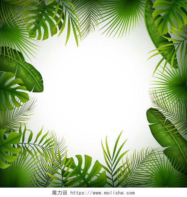 
热带夏天植物卡通树叶边框PNG免抠素材